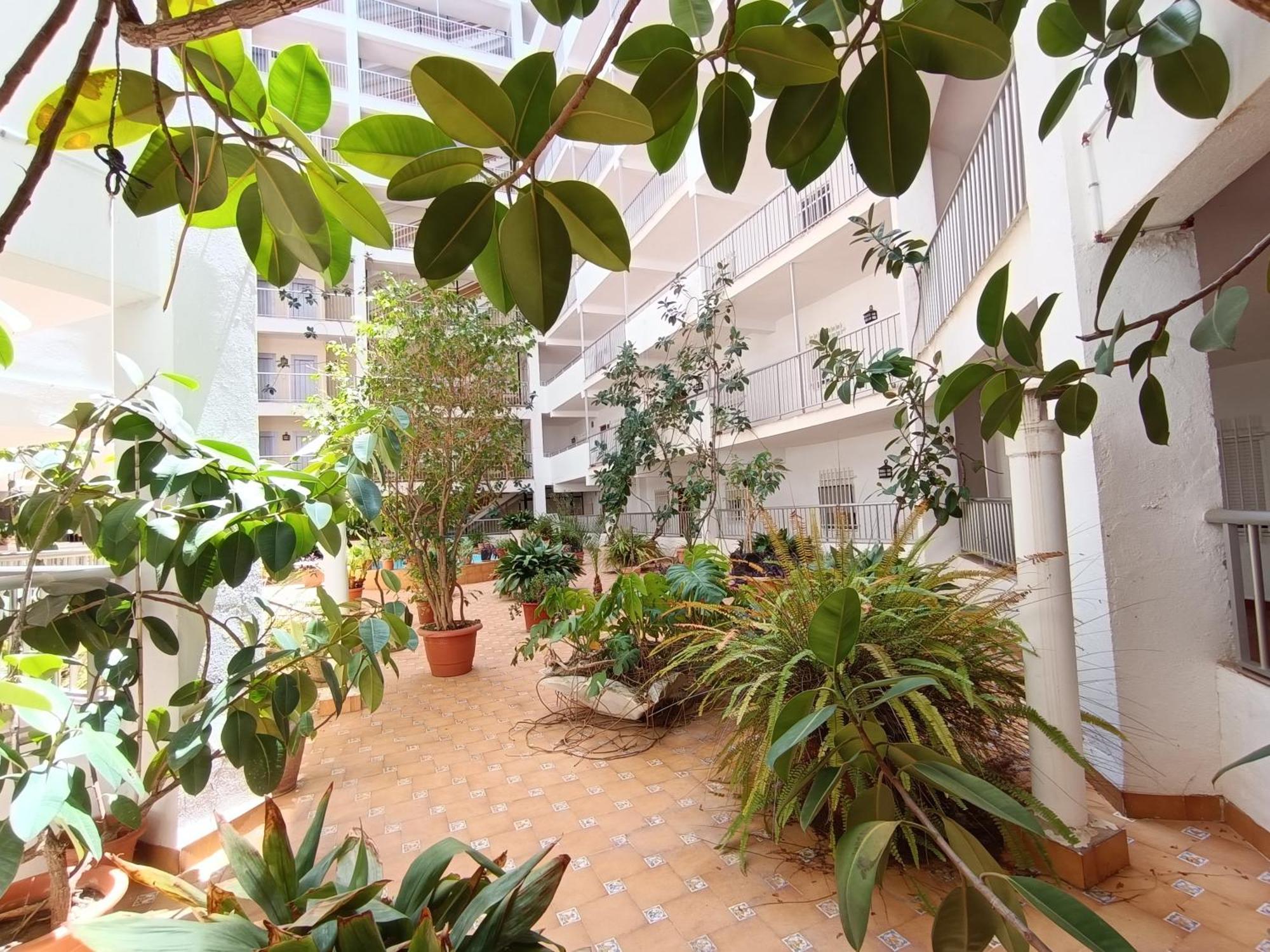 Amazing Beach Apartment Cullera Bagian luar foto